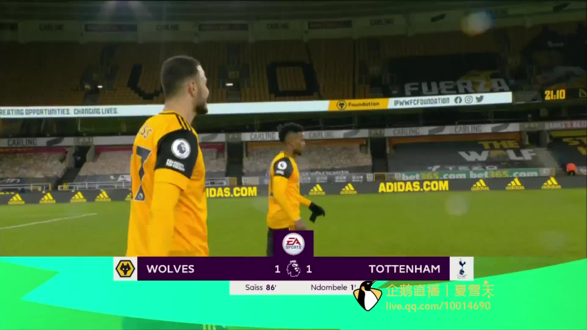 罗亚的未来 罗亚的未来